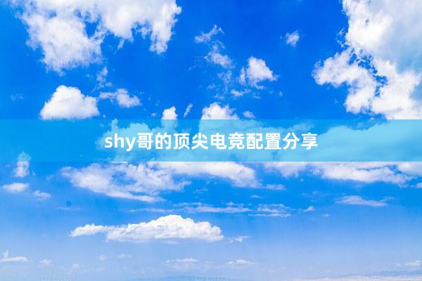 shy哥的顶尖电竞配置分享