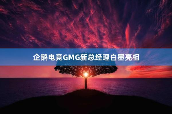 企鹅电竞GMG新总经理白墨亮相