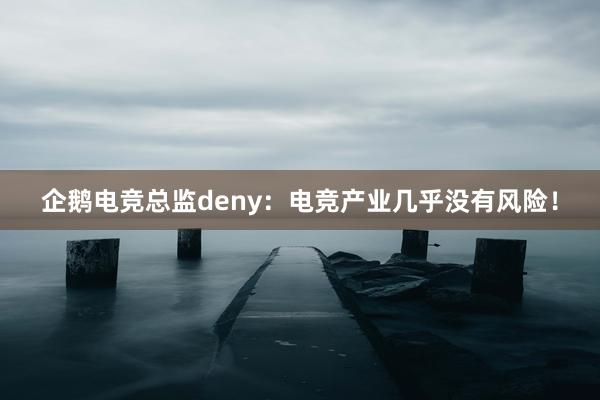 企鹅电竞总监deny：电竞产业几乎没有风险！