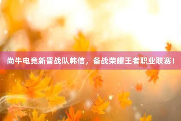 尚牛电竞新晋战队韩信，备战荣耀王者职业联赛！