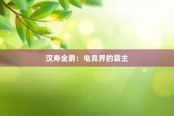 汉寿金爵：电竞界的霸主