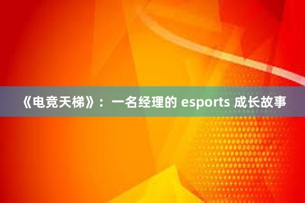 《电竞天梯》：一名经理的 esports 成长故事